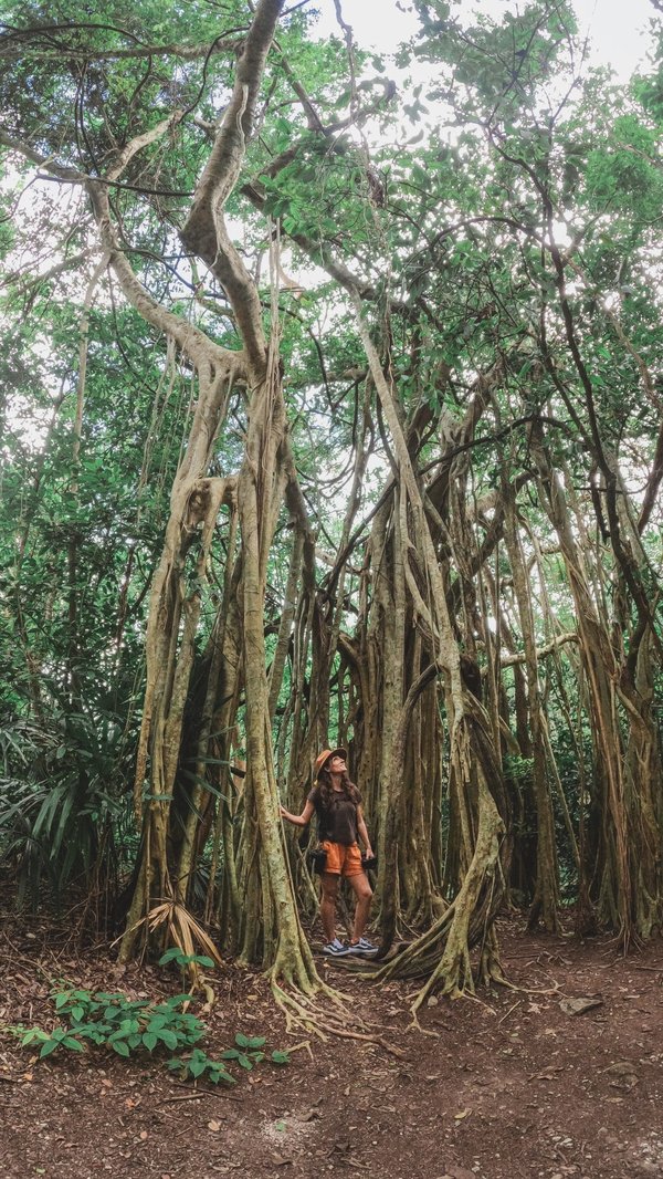 How to Build an Effective Global Virtual Team for Your Business?