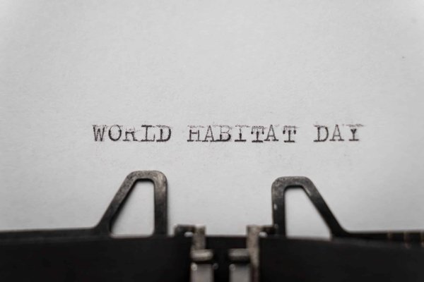 How Can You Design an Outdoor Living Space That Encourages Wildlife Habitat?