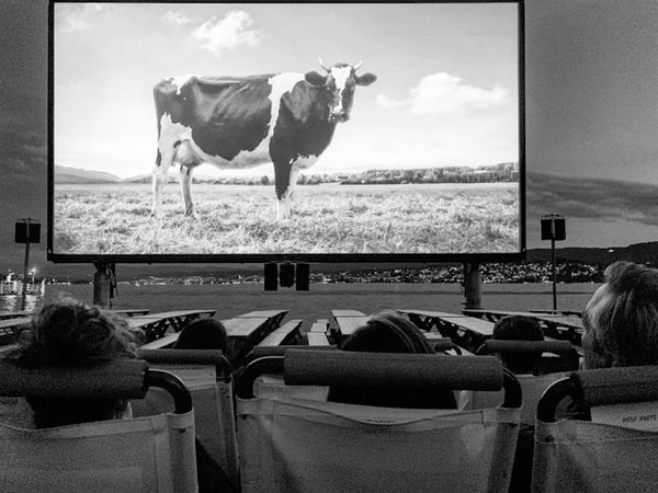 Can Quantum Dot TVs Surpass Traditional LED and OLED in Color Accuracy?